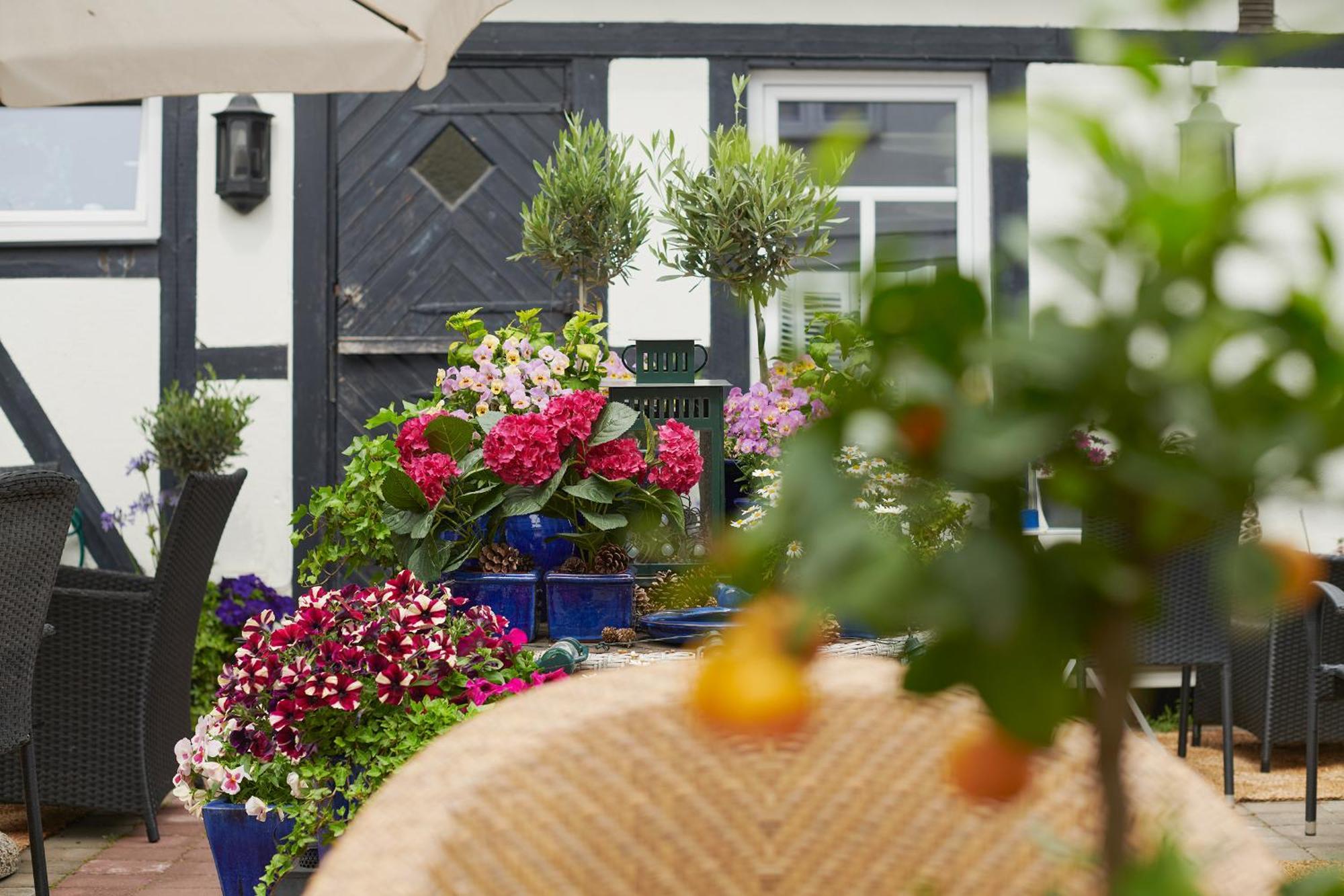 Hotell Baeckagarden Ystad Εξωτερικό φωτογραφία